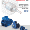 Elektrim/Cantoni - IE2-Motoren Katalog