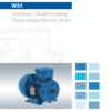 WEG 21 Alu IE1/2/3 Motorenkatalog