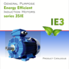 Elektrim/Cantoni - IE3-Motoren Katalog